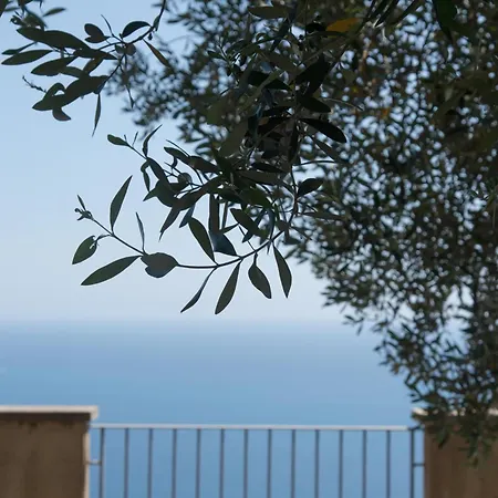 Gabriella Con Vista Mare, Internet E Parcheggio Hotel Pisciotta